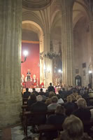 AMPLIAR IMAGEN